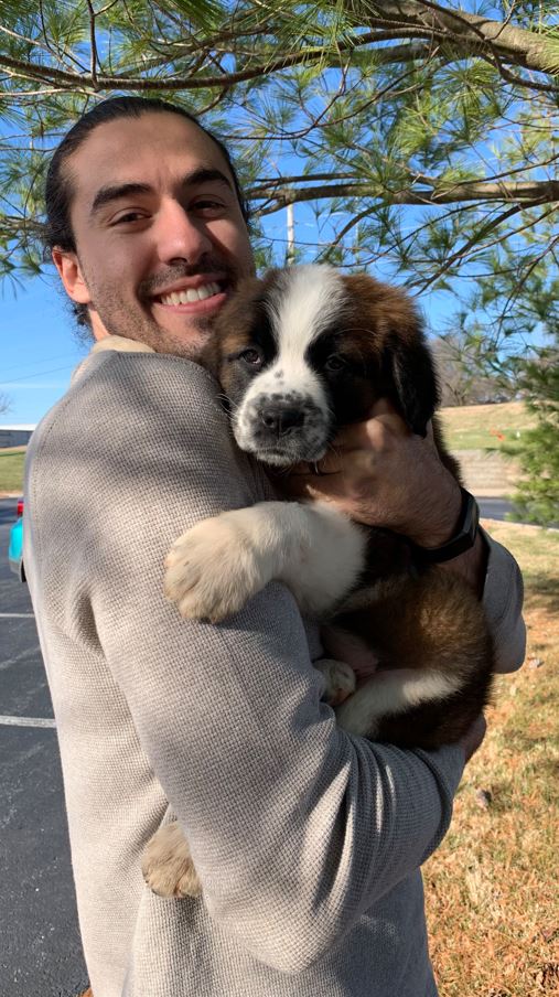 Saint Bernard Puppy Reservation