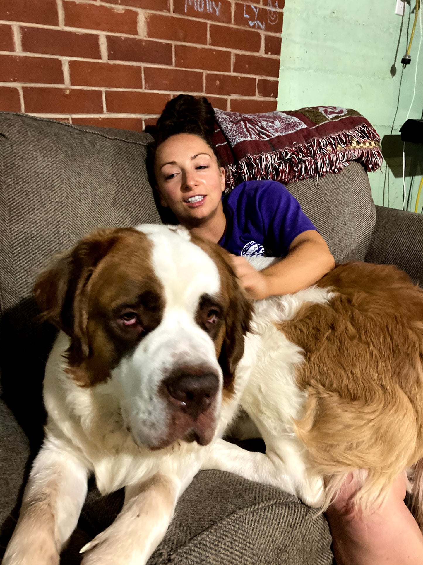 Saint Bernard Puppy Reservation