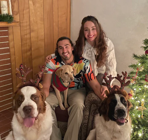 Saint Bernard Puppy Reservation