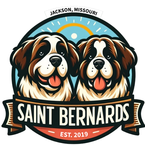 Jackson Missouri Saint Bernards